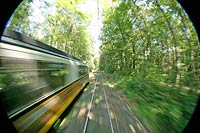 Der 15er saust durch den Wald Der 15er saust durch den Wald